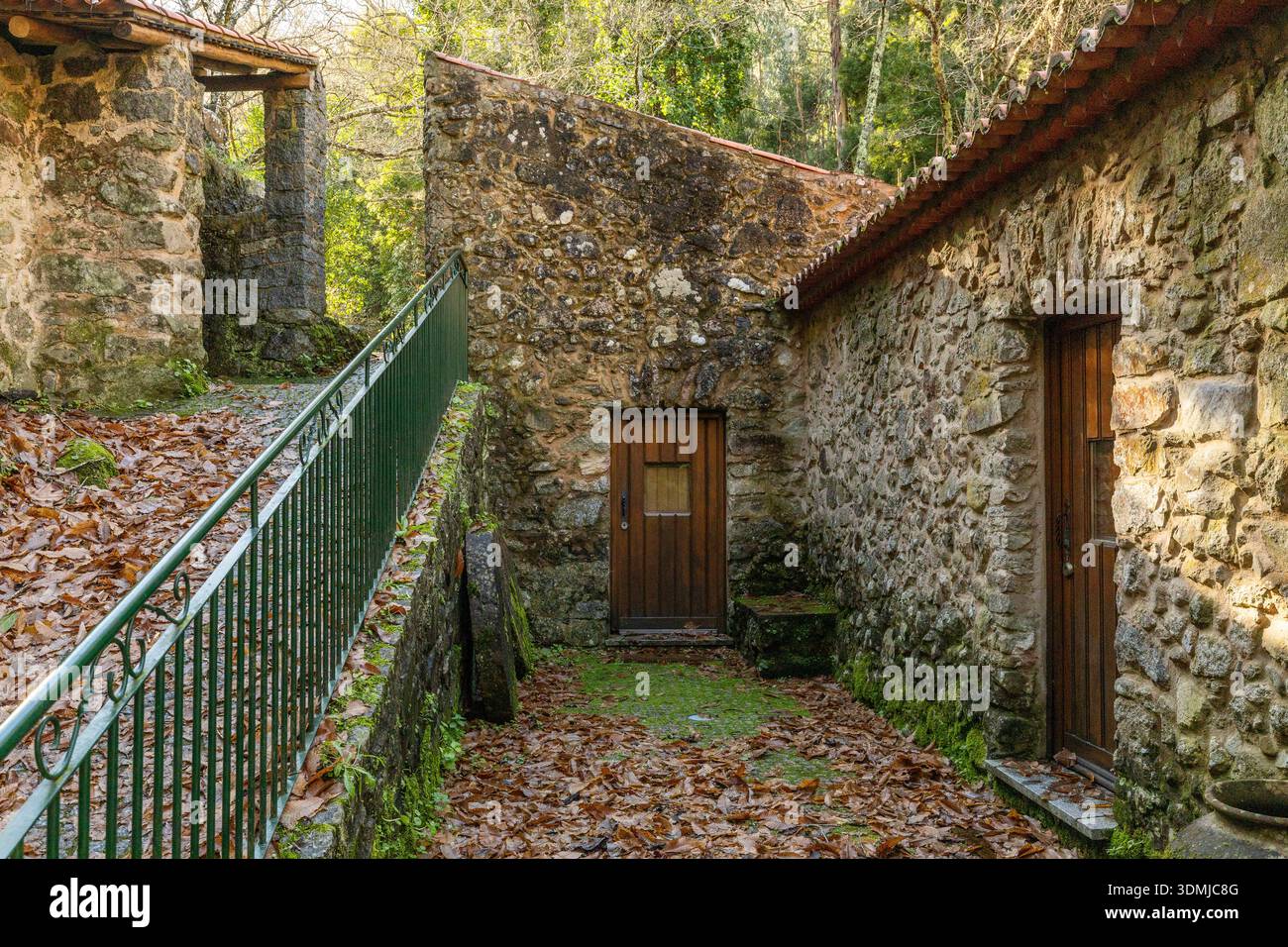 Tradizionale mulino in pietra circondato da una foresta lussureggiante nel parco Barranco dos Pisões, Monchique, Algarve, Portogallo, che presenta architettura rurale e natura Foto Stock