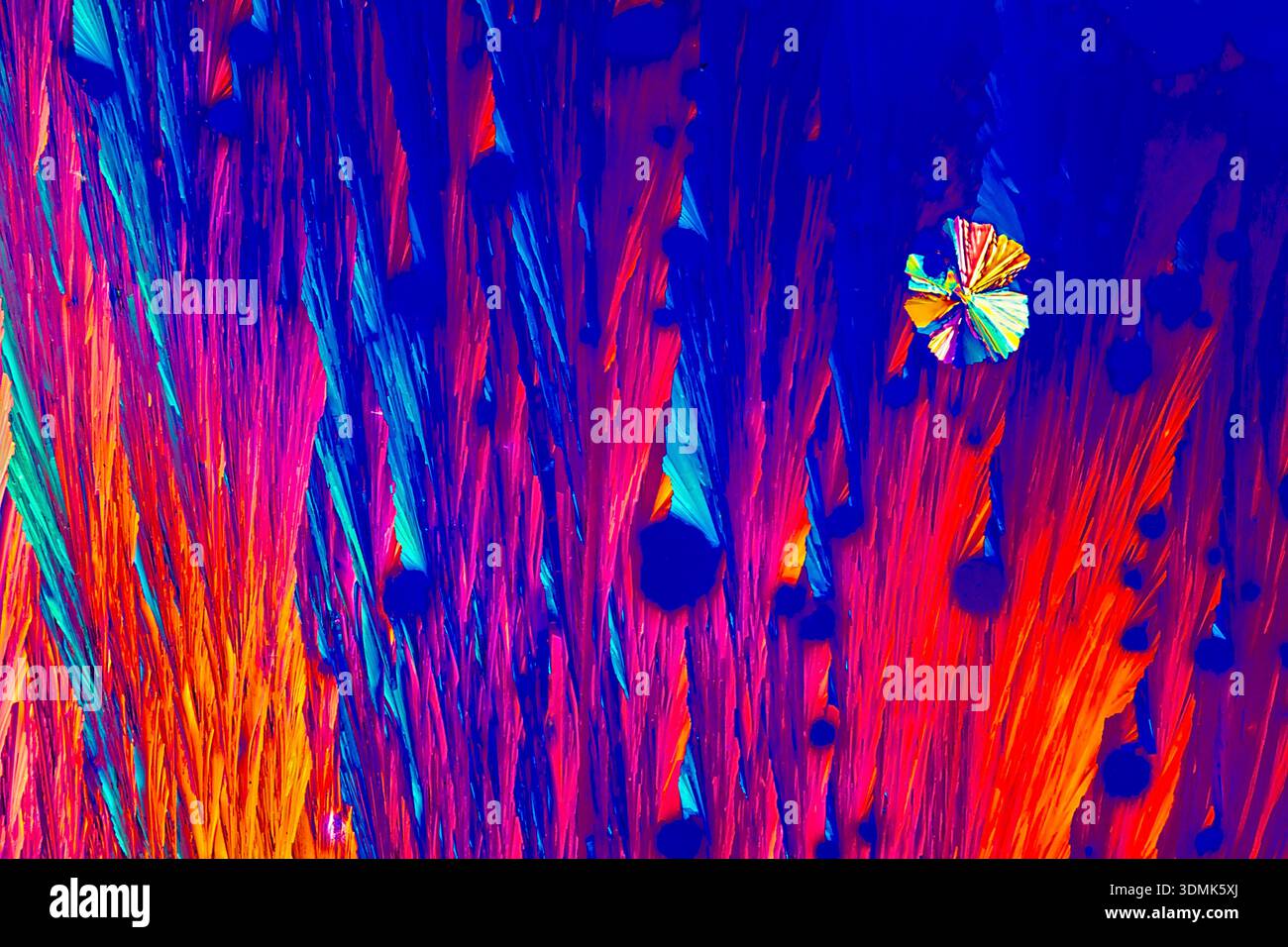 CRISTALLI DI VITAMINA C SOTTO LUCE POLORISED CHE MOSTRANO UNA CRESCITA CRISTALLINA VERSO L'ALTO E COLORI VIVACI SATURI CHE CREANO UNO SFONDO ASTRATTO Foto Stock