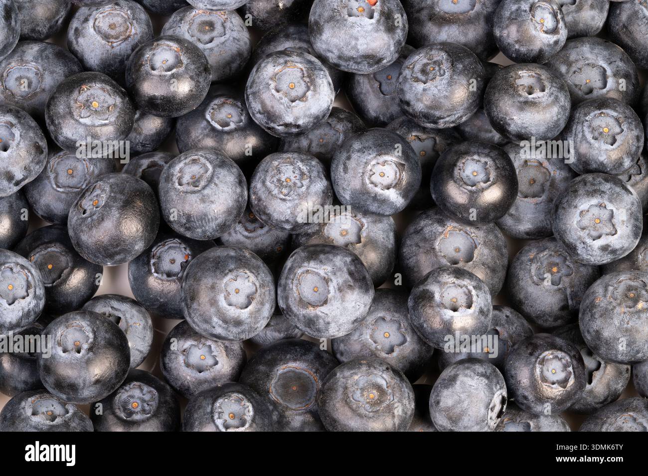 Concept shot nutrizionale in grappolo di mirtilli antiossidantrich che mette in evidenza i benefici del superfood, i toni di indaco profondi e la fioritura testurizzata evocano salute e benessere Foto Stock