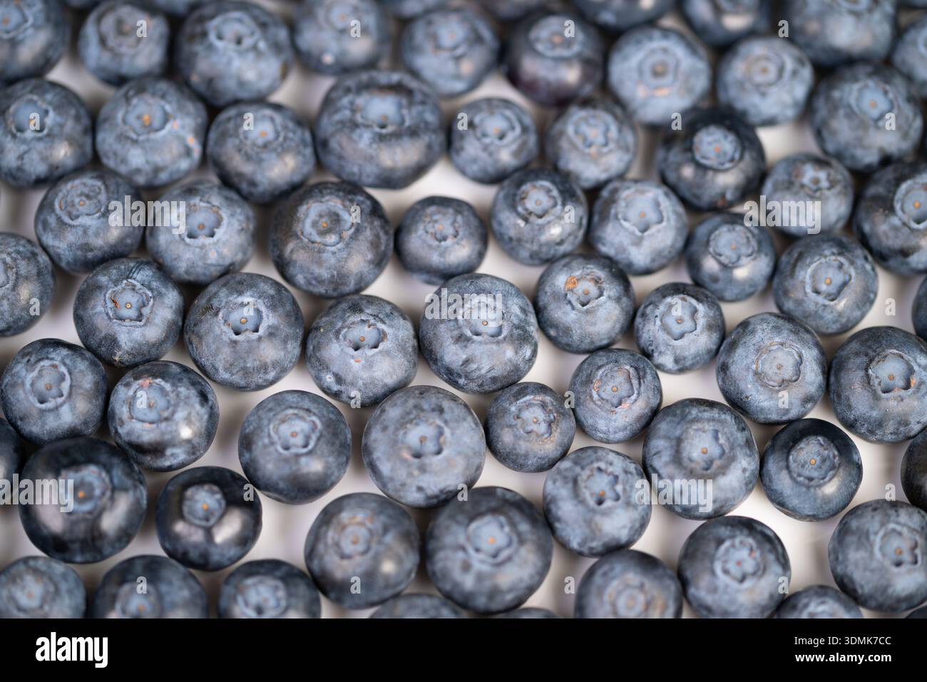 primi piani di mirtilli con rivestimento gelido cristalli di rugiada freddi sulla pelle, consistenza fresca, tonalità fresche e nitide, atmosfera fresca e rinfrescante Foto Stock