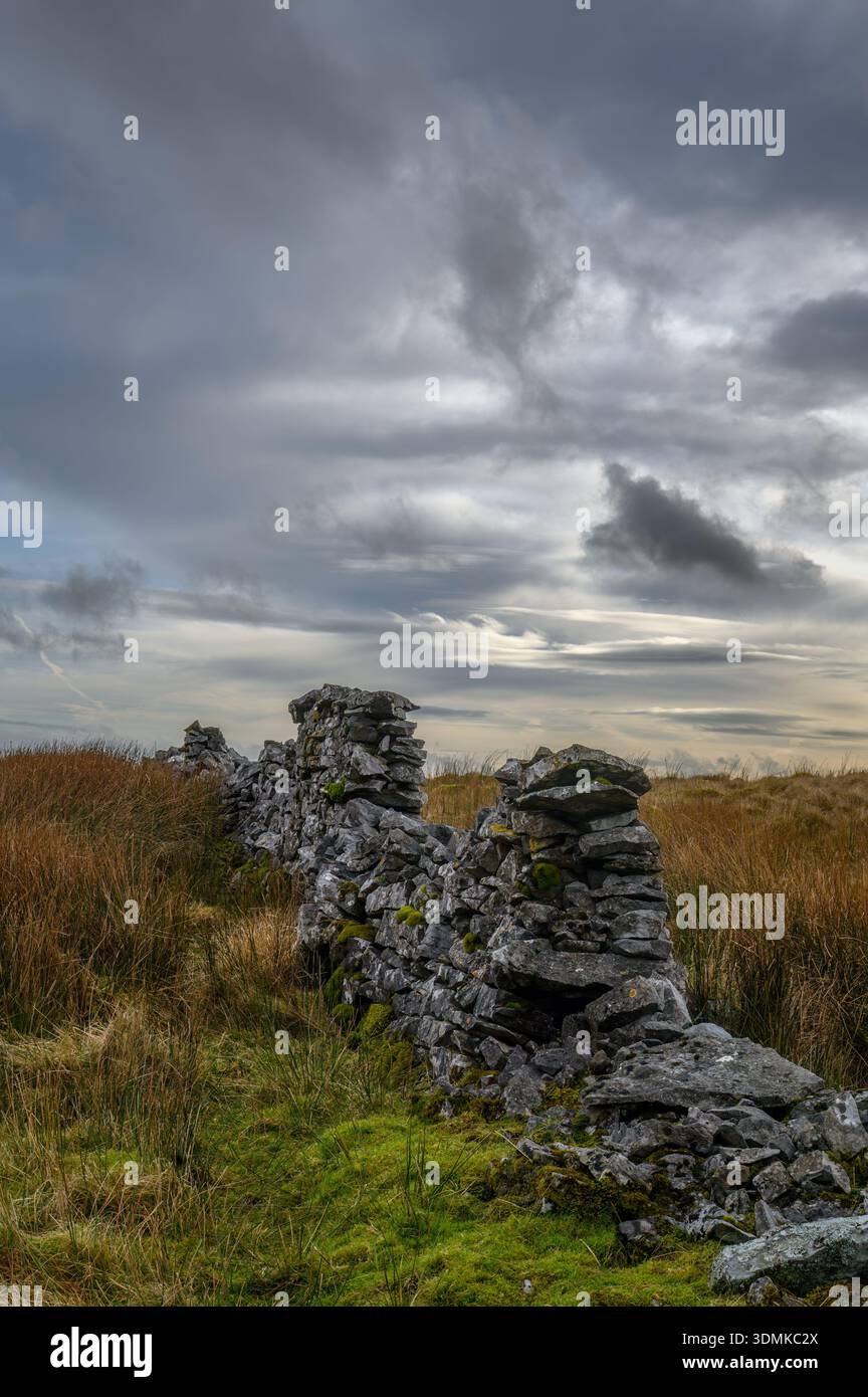 Il vecchio muro di pietra a Gragareth, Yorkshire Dales Foto Stock