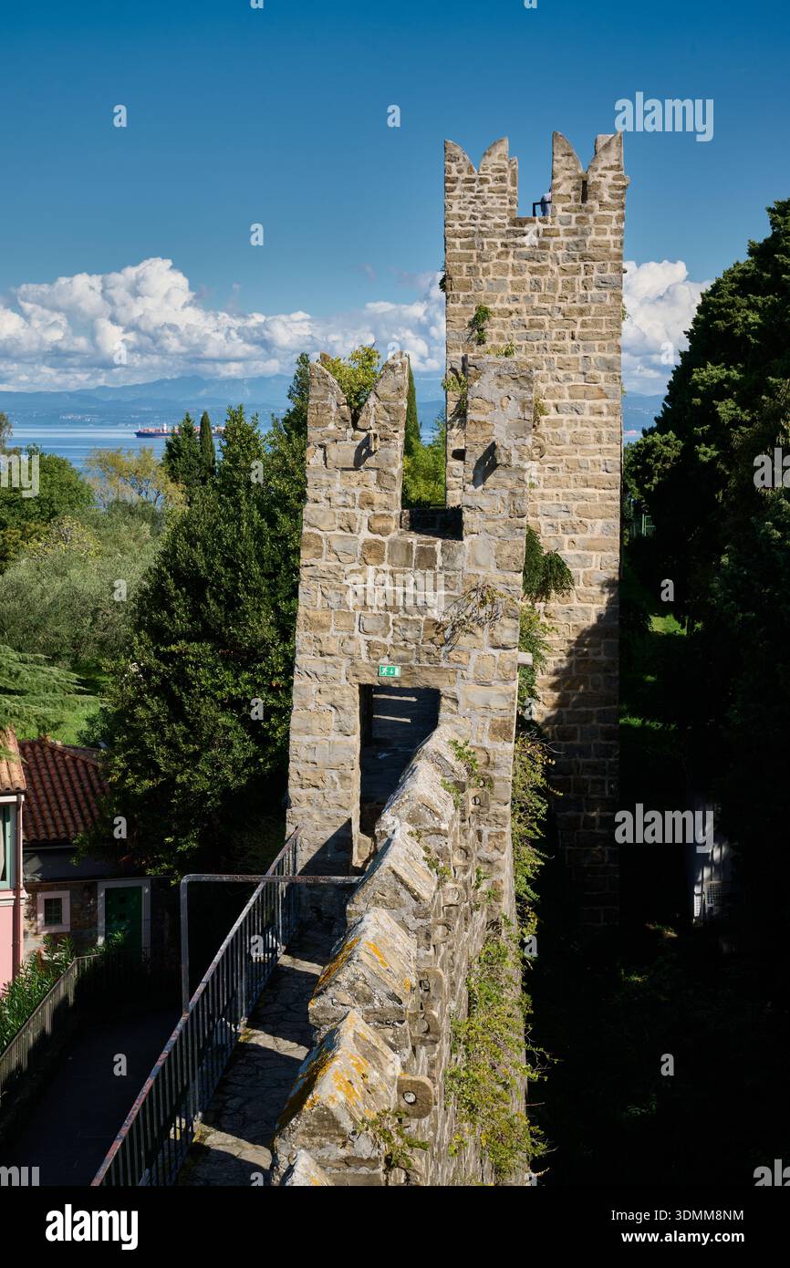 Mura cittadine con torre difensiva di Pirano, Slovenia, Europa Foto Stock