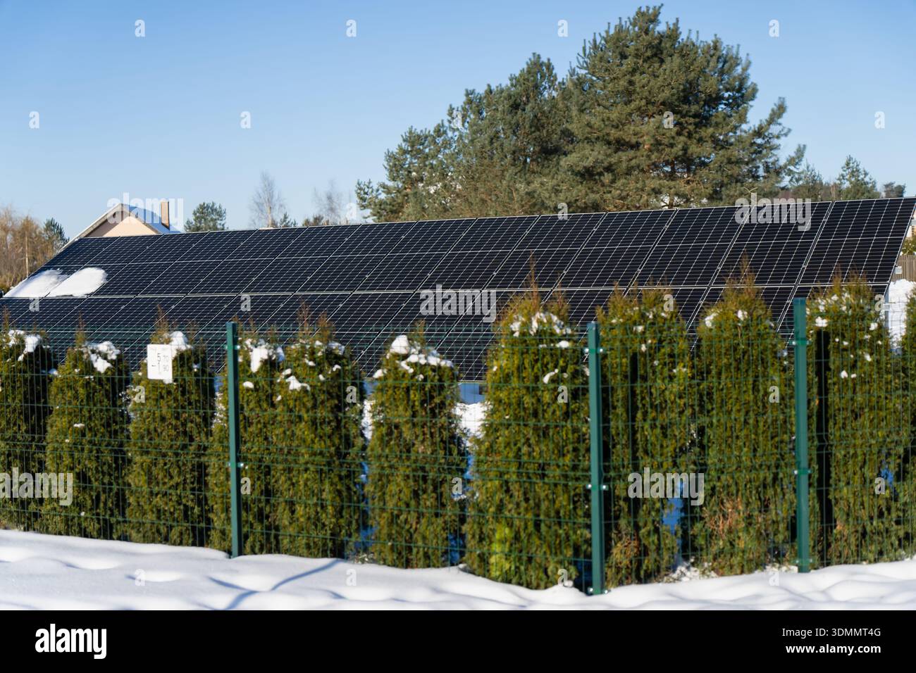 Pannelli solari che coprono un tetto residenziale dietro la siepe sempreverde e recinzione in metallo verde, neve profonda a terra, concetto di energia pulita nei sobborghi invernali Foto Stock
