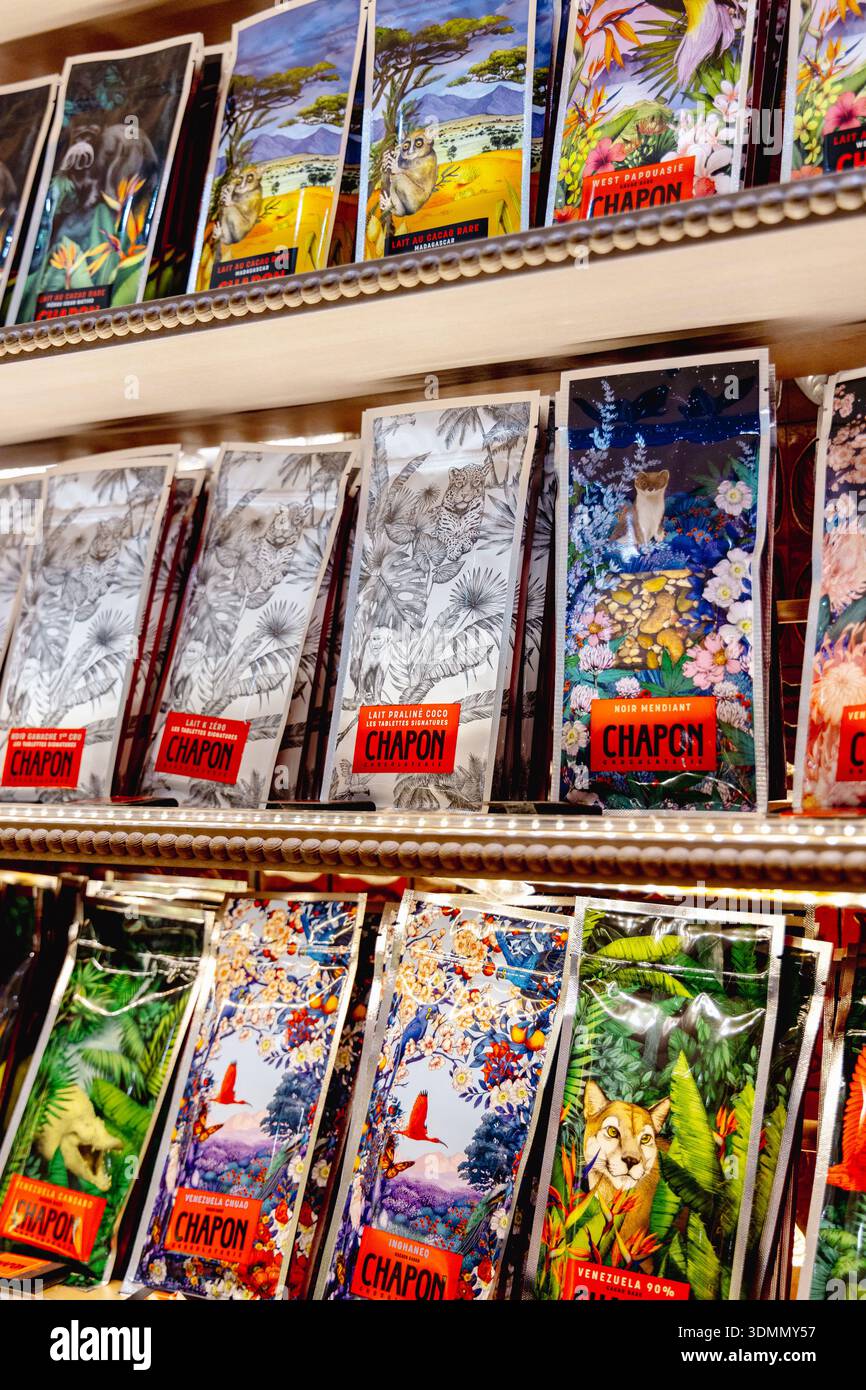 Selezione di barrette di cioccolato artigianali al Chocolat Chapon, Rue du Bac, Parigi, Francia Foto Stock