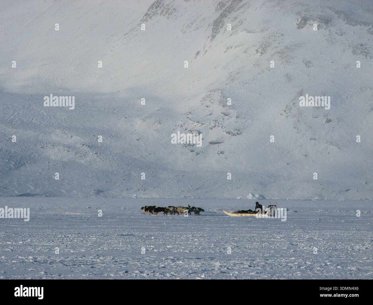 Upernavik, nord-ovest, Groenlandia. 6 febbraio 2026. La slitta trainata da cani rimane il mezzo principale di viaggio nella Groenlandia settentrionale, soprattutto per la caccia e la pesca. Negli ultimi decenni, il ghiaccio marino si formerebbe in modo affidabile ogni inverno per consentire il viaggio attraverso di esso da parte di una squadra di cani, ma più recentemente, i cambiamenti climatici hanno reso la formazione annuale di ghiaccio marino molto meno prevedibile. (Credit Image: © Roberta Holden/ZUMA Press Wire) SOLO PER USO EDITORIALE! Non per USO commerciale! Foto Stock