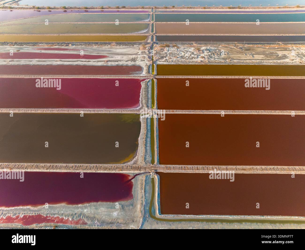 Veduta aerea delle vivaci saline rettangolari che mostrano uno spettro di colori, dai rossi profondi ai marroni tenui, Sambhar, Rajasthan, India. Foto Stock
