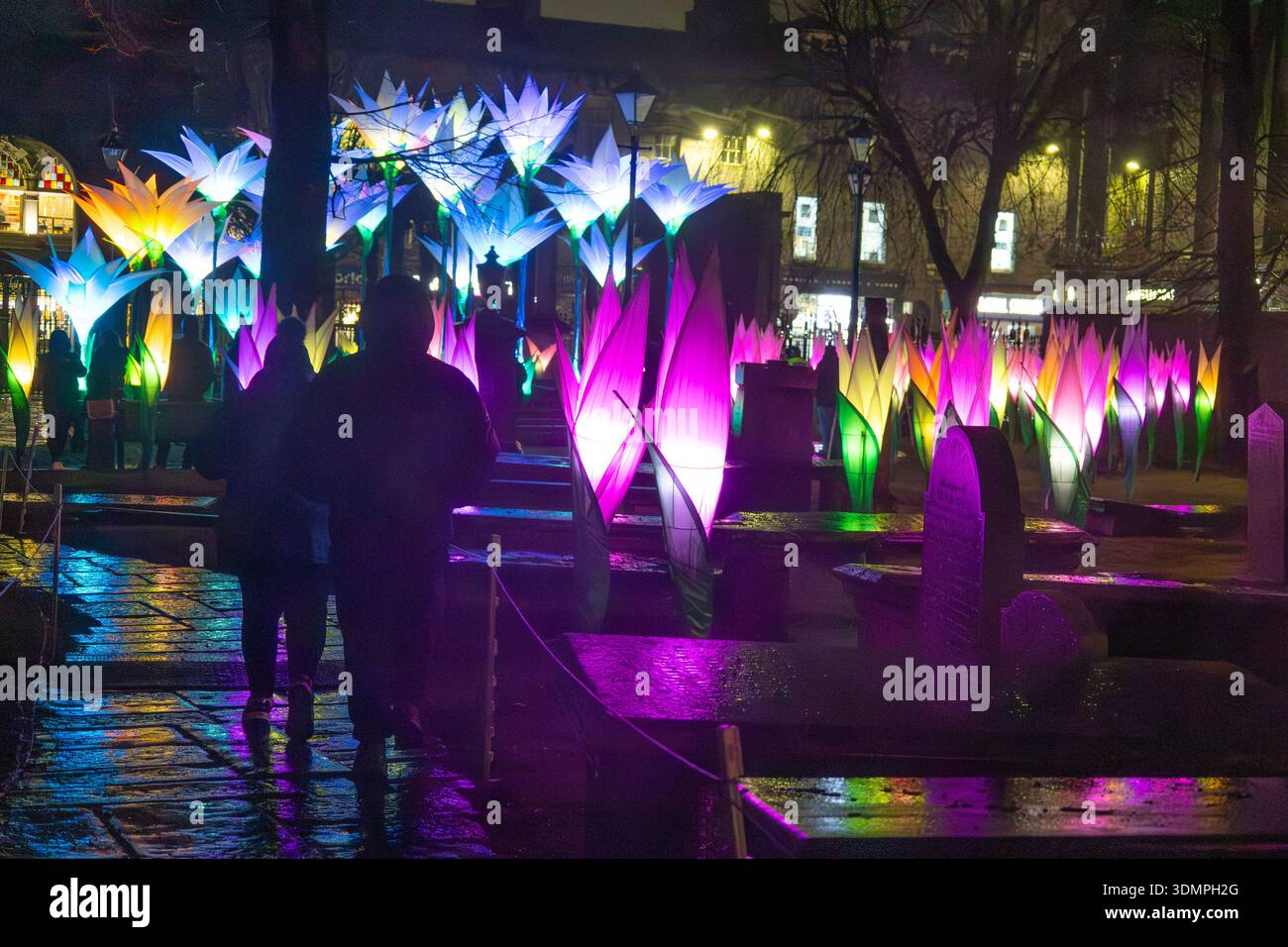 Flower Field di Jigantics, un'installazione kaleidescopica a St Nicholas Churchyard come parte dello Spectra Festival of Light 2026, Aberdeen, Scozia. Foto Stock