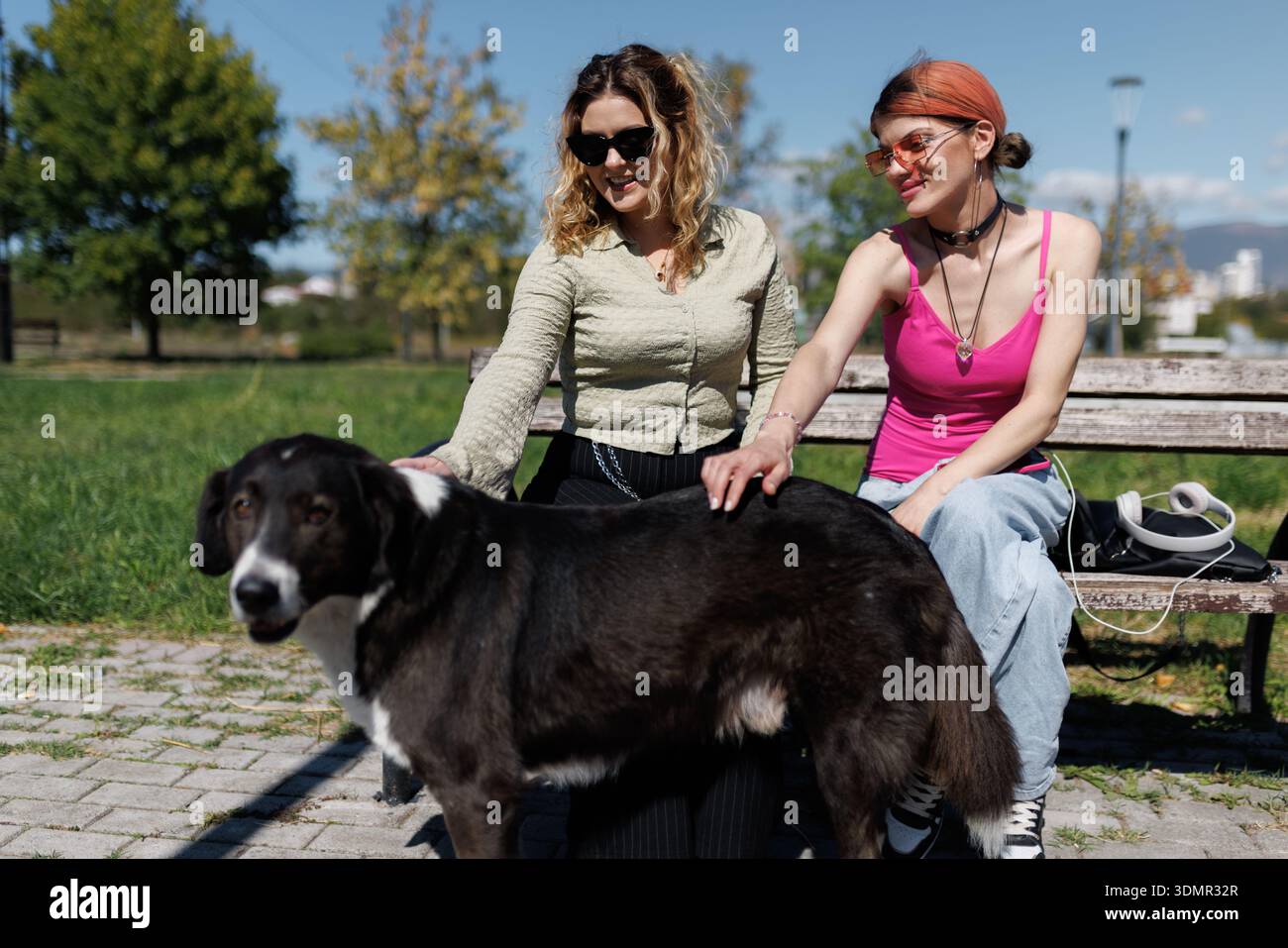 Due donne siedono su una panchina in un parco con un cane mentre si godono una giornata di sole nel pomeriggio Foto Stock