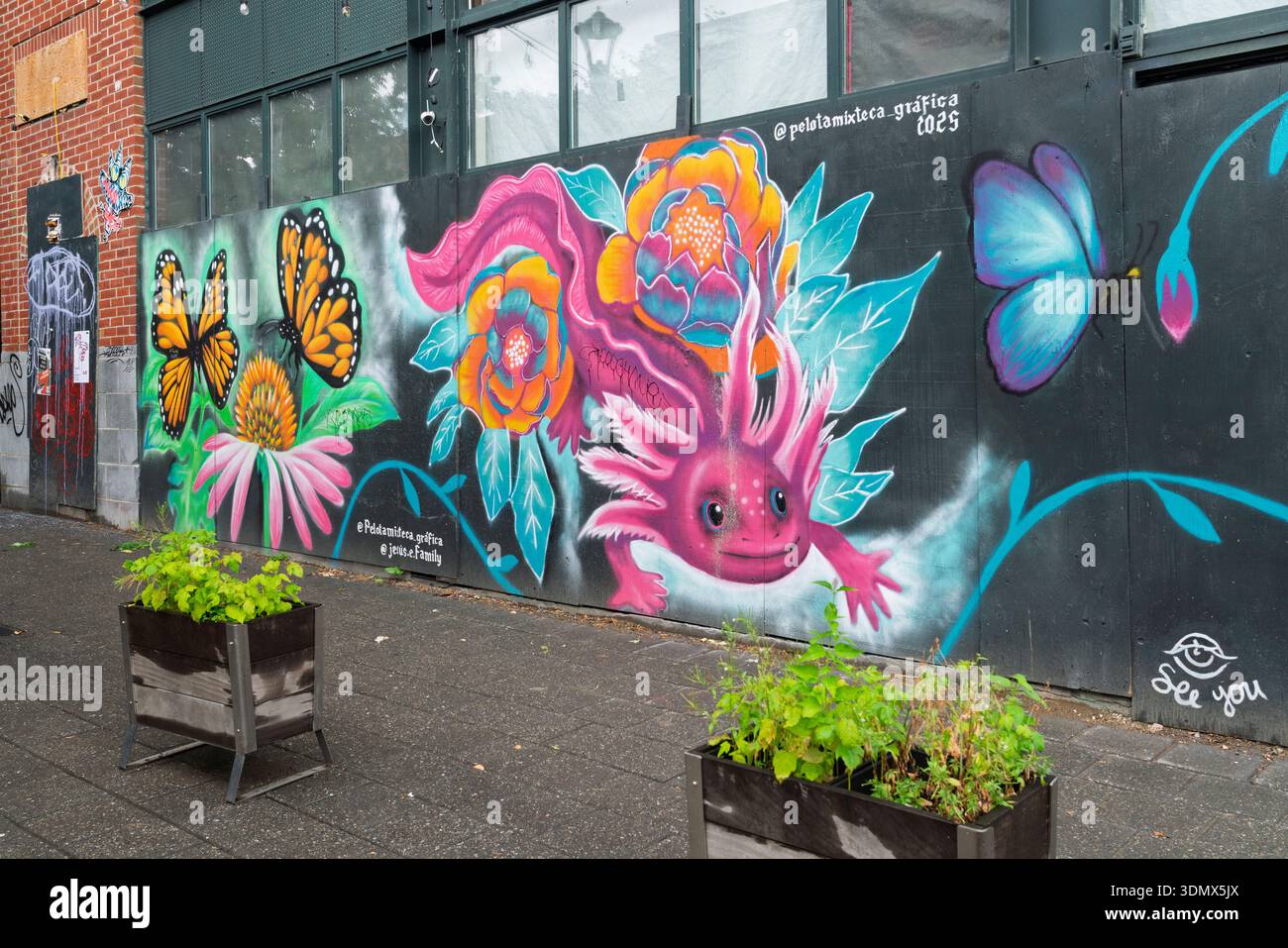 Street art vicino a Saint-Louis Square, Montreal, Quebec, Canada. Foto Stock