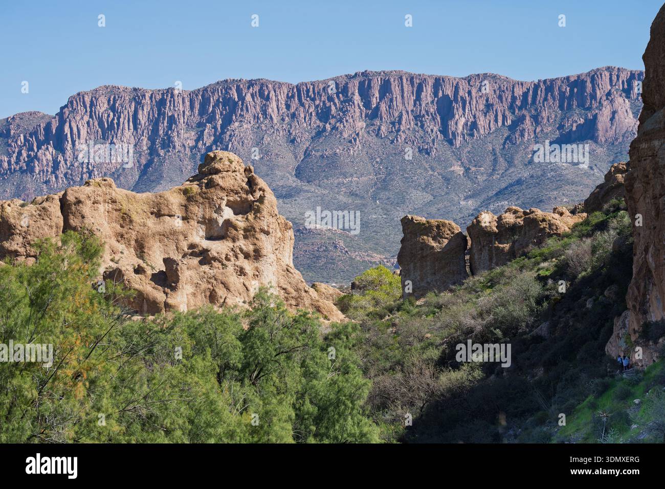 Il deserto di Sonora dell'Arizona è spettacolare in qualsiasi periodo dell'anno, ma soprattutto in inverno, quando l'acqua scorre e il deserto prende vita Foto Stock