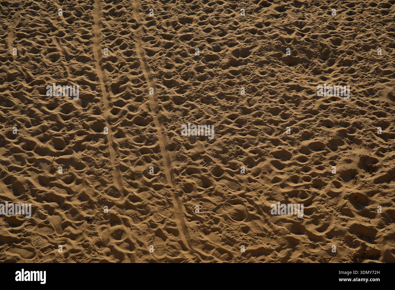 Le tracce degli pneumatici creano motivi intricati su una spiaggia di sabbia assolata. Le texture contrastanti evidenziano l'effetto del traffico veicolare sulla sabbia. Foto Stock