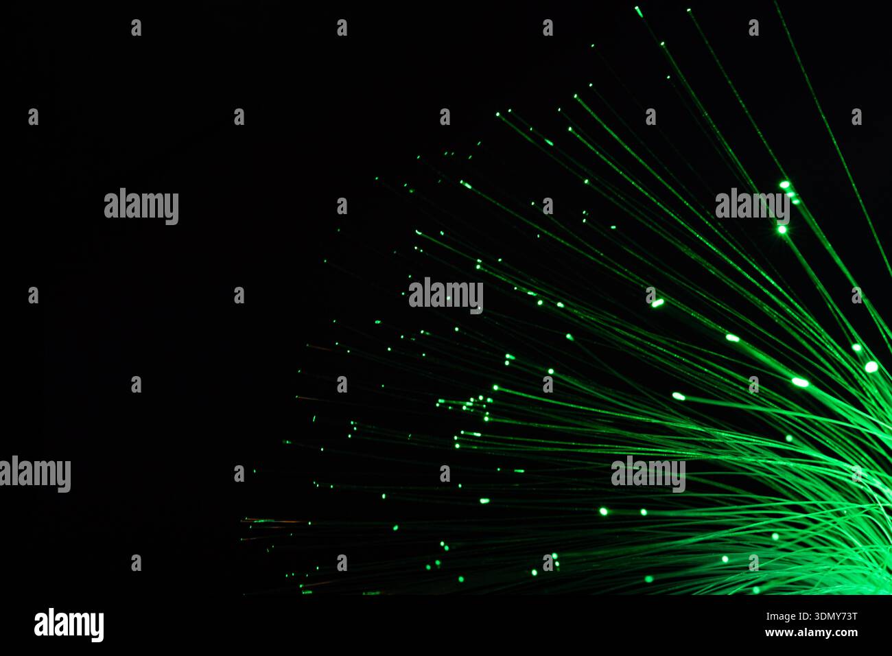 Immagine astratta di luci verdi a fibre ottiche al neon su sfondo nero. I fili luminosi creano motivi intricati, donando un'atmosfera futuristica e scava Foto Stock