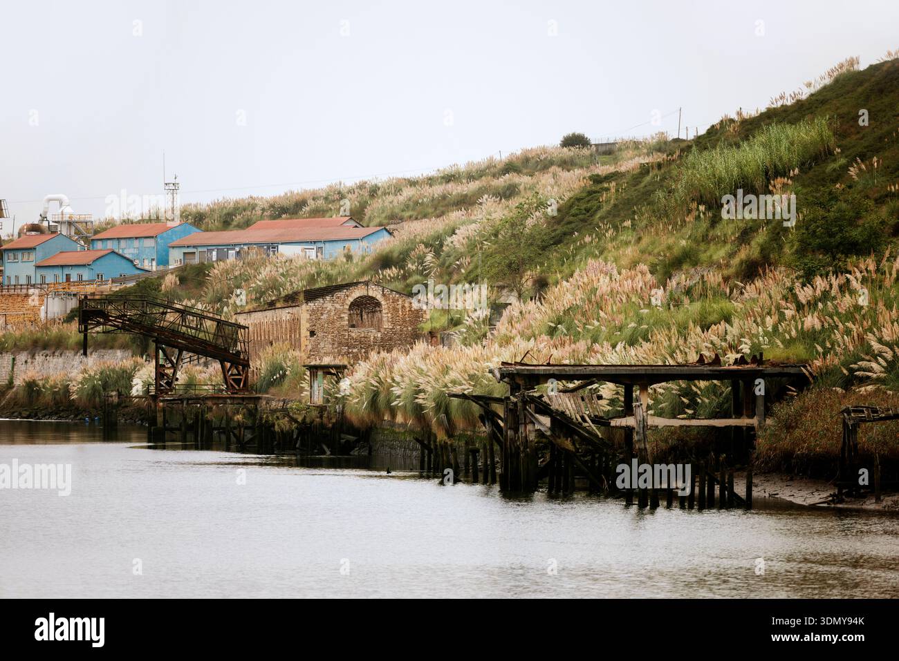 Vecchi edifici industriali si ergono vicino a una tranquilla riva del fiume, circondati da vegetazione lussureggiante e cespugli sovrastati, che trasmettono un senso di storia e di Foto Stock