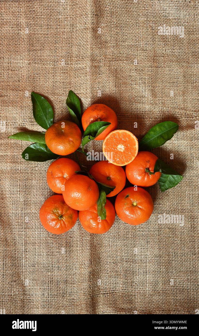 Piatte di agrumi natalizi con spazio per le copie per le feste Foto Stock