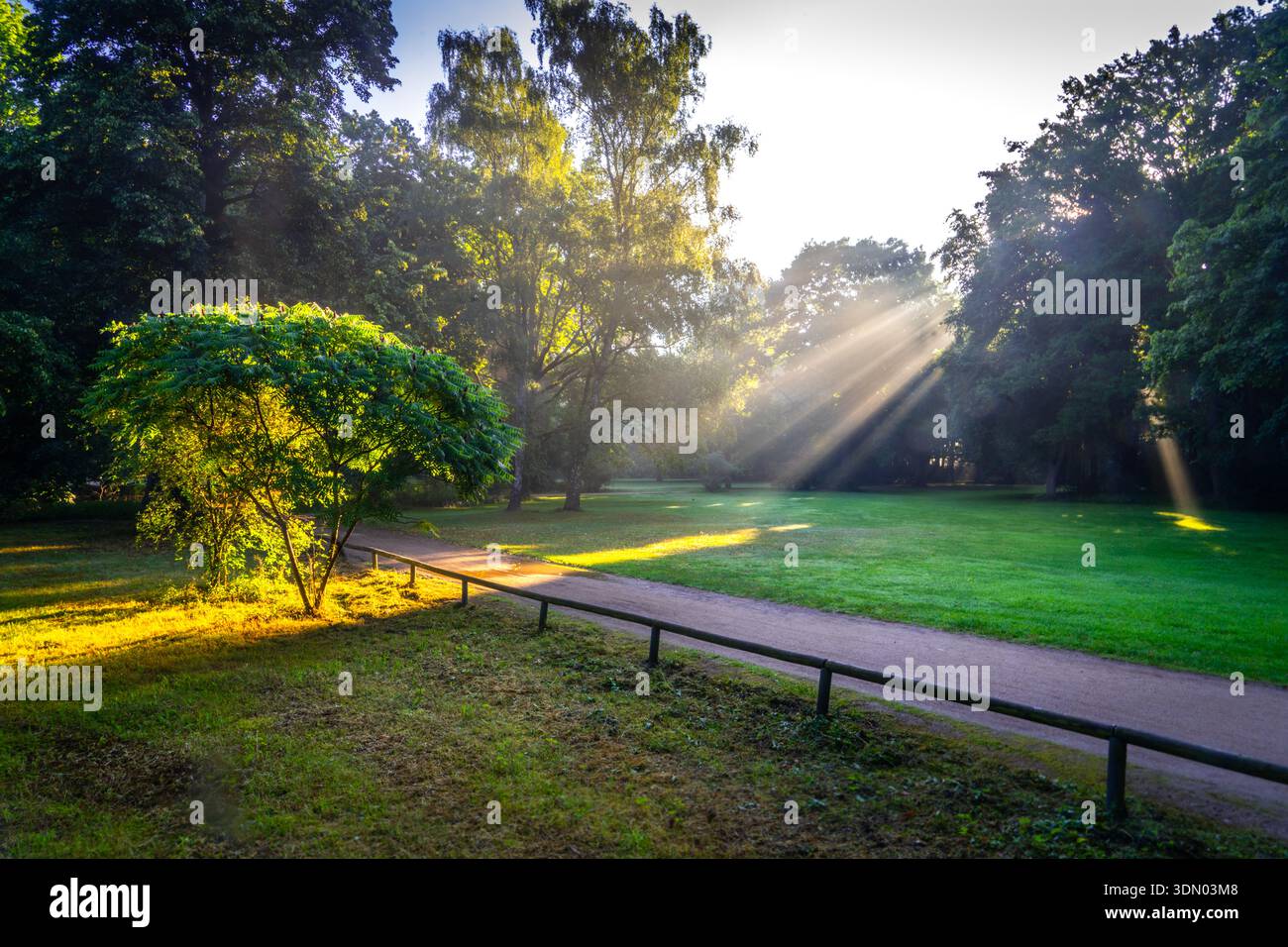 Il percorso del parco tramonta la mattina presto, la luce d'atmosfera nel parco Tiergarten Berlin Mitte Germania Foto Stock