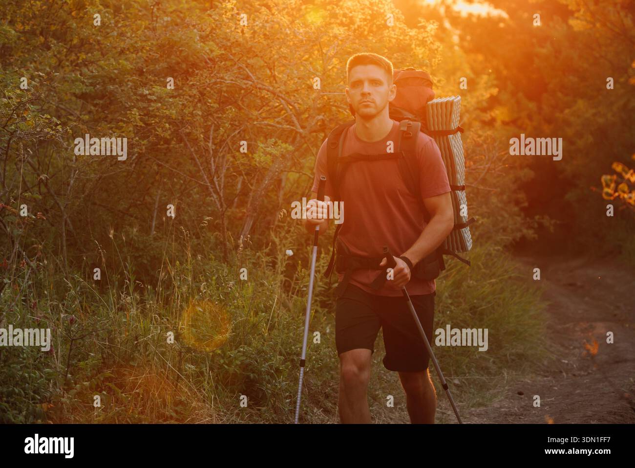 Escursionismo in Backpacker attraverso la foresta al tramonto dorato con luce calda e bagliore delle lenti. Foto Stock