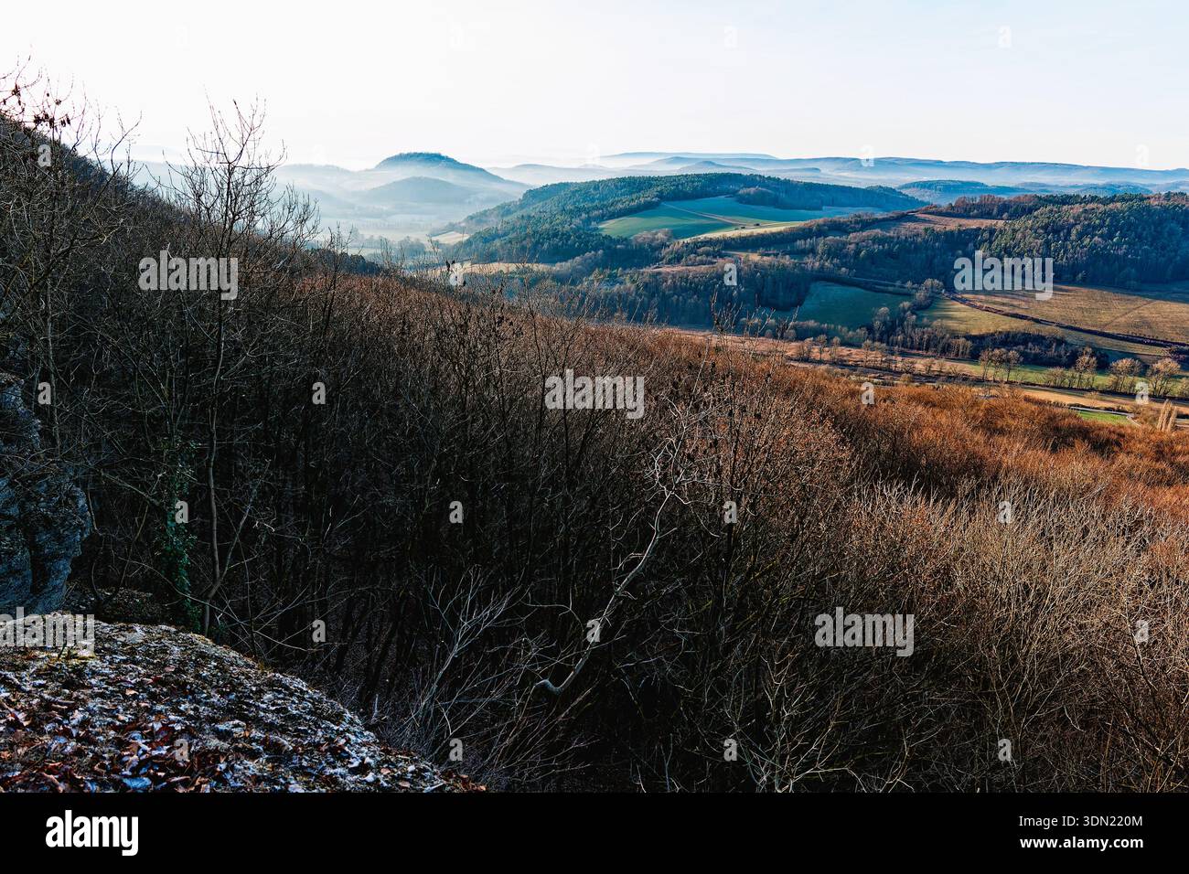 Natura congelata in inverno in Germania, bacche, narrazioni Foto Stock