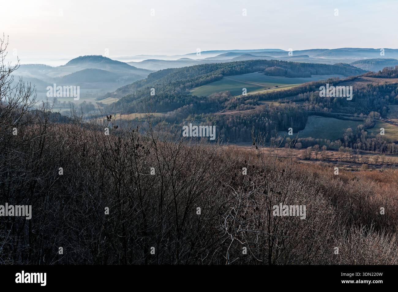 Natura congelata in inverno in Germania, bacche, narrazioni Foto Stock