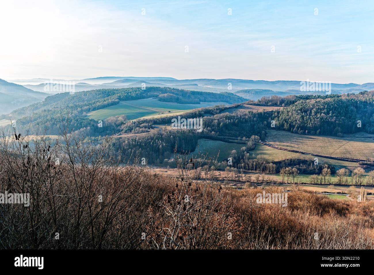 Natura congelata in inverno in Germania, bacche, narrazioni Foto Stock