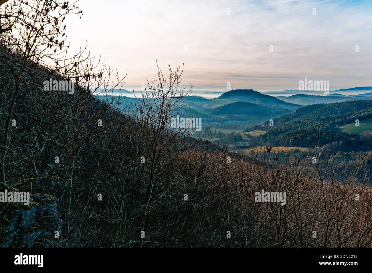 Natura congelata in inverno in Germania, bacche, narrazioni Foto Stock