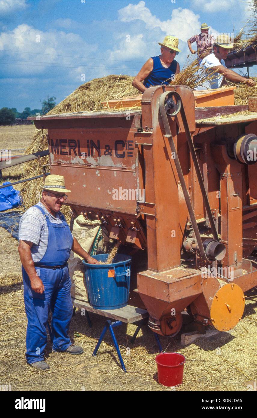 Francia, il grano viene trebbiato in modo tradizionale. Gli agricoltori utilizzano una vecchia trebbiatrice a cinghia francese, modello Merlin & Cie, per separare il grano Foto Stock