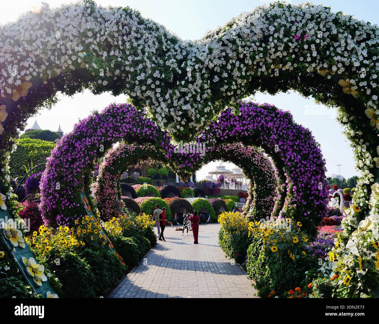 Dubai Miracle Garden, Dubai, Emirato di Dubai, Emirati Arabi Uniti Foto Stock