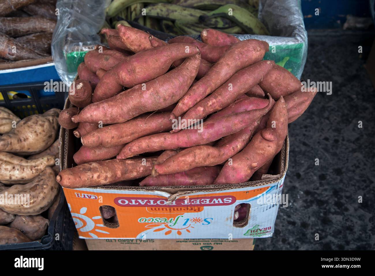 Scatola di tuberi di patate dolci fuori da un negozio di verdure a Edimburgo, Scozia, Regno Unito. Foto Stock