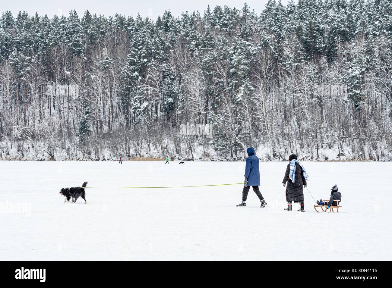 Le famiglie amano divertirsi in inverno e passeggiare su un lago ghiacciato con bambini e cani, circondato da alberi innevati in una giornata luminosa Foto Stock