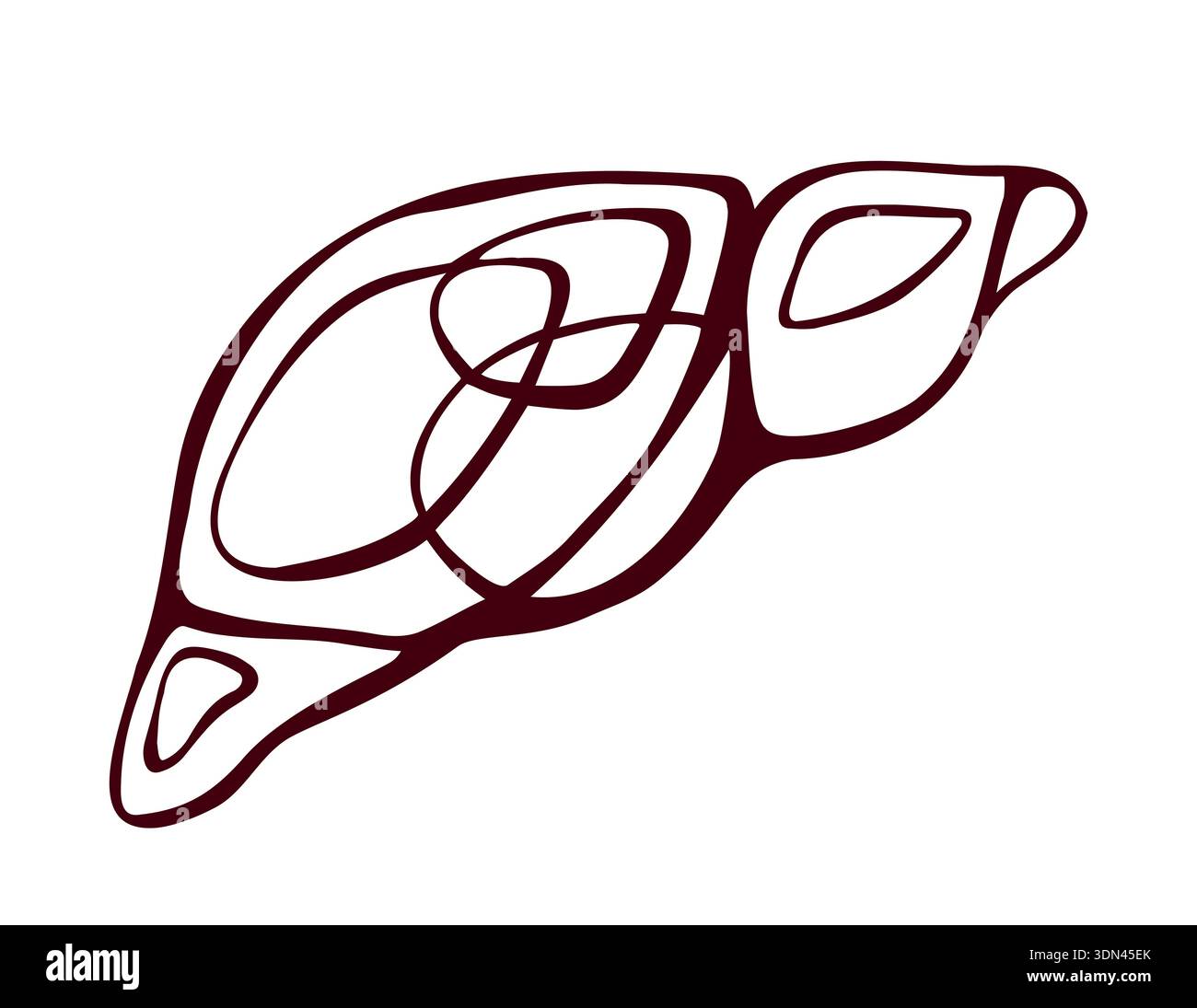 Profilo del fegato umano, icona del fegato Illustrazione Vettoriale