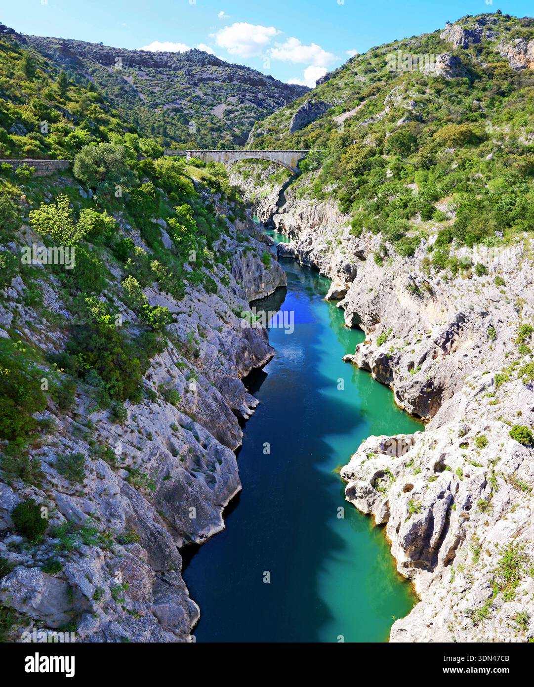 Gorges de l'Hérault nel sud della Francia. Il canyon del fiume, scavato nelle rocce calcaree delle Cévennes e attraversato da un ponte. Foto Stock