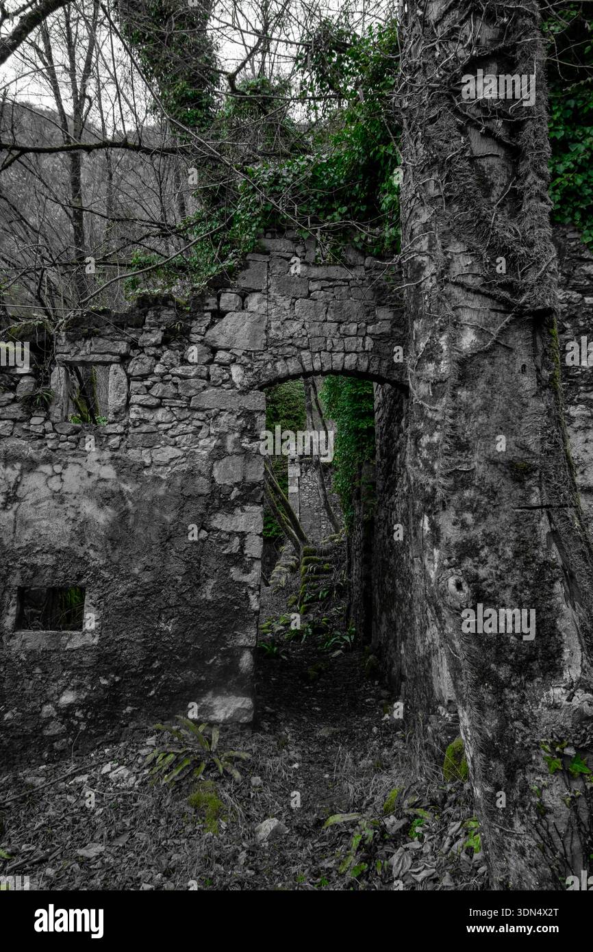Antica porta in pietra e tronco di alberi all'interno delle rovine della foresta sovrastate Foto Stock