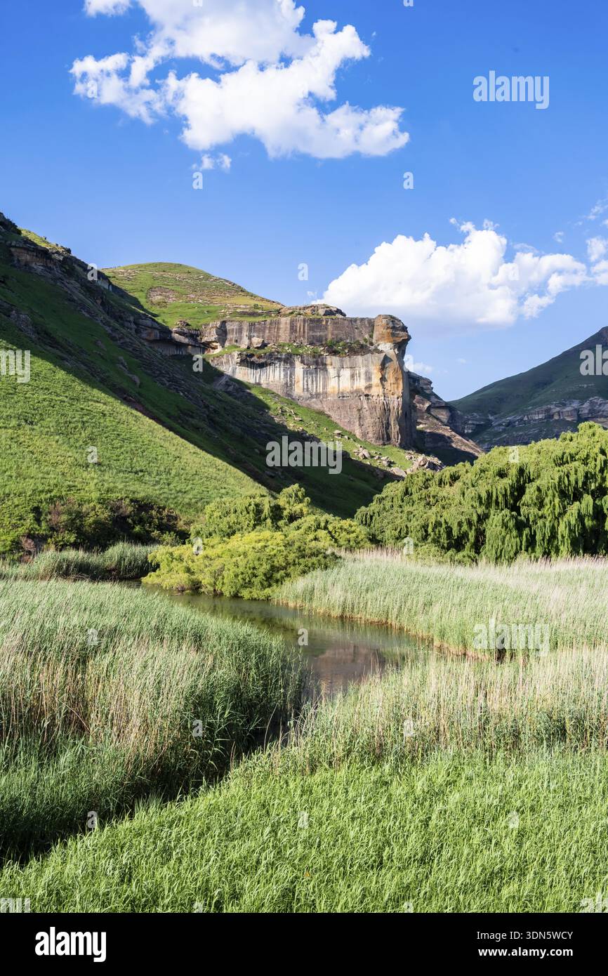 Prateria con scogliere e scogliere di arenaria, paesaggio nel Golden Gate Highlands National Park, Free State, Sudafrica Foto Stock