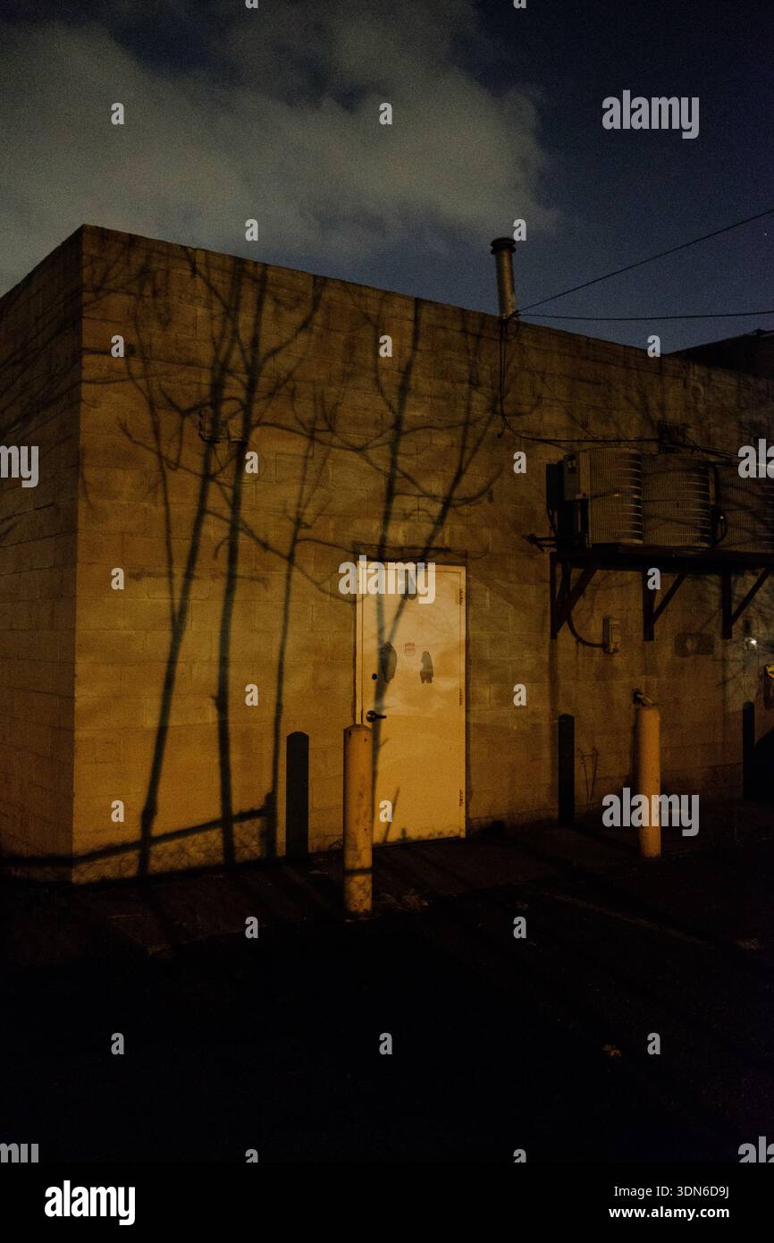 Vista notturna di un edificio industriale in legno di cenere nel New Jersey, caratterizzato da lunghe ombre di alberi e una singola porta di sicurezza bianca. Foto Stock
