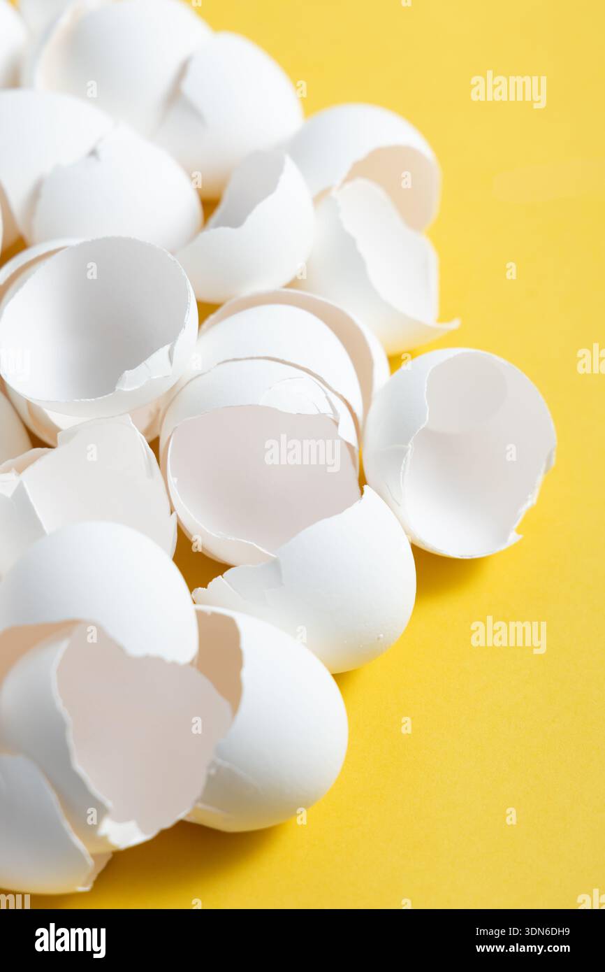 Le conchiglie delle uova sono sparse su una superficie gialla brillante. Sono di colore bianco e mostrano varie dimensioni e forme. Foto Stock