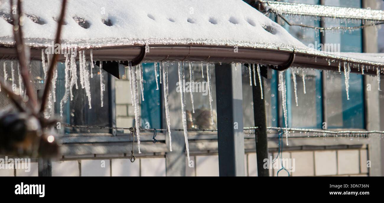 Fila di lunghi ghiaccioli appuntiti appesi al bordo del tetto in inverno Foto Stock