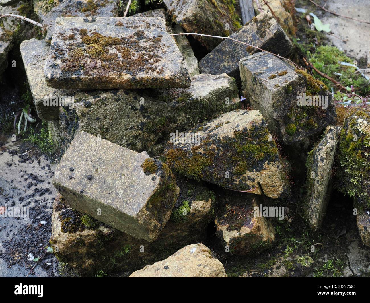 Mucchio di pietra da costruzione casuale, per pareti in pietra. Dorset, Regno Unito Foto Stock
