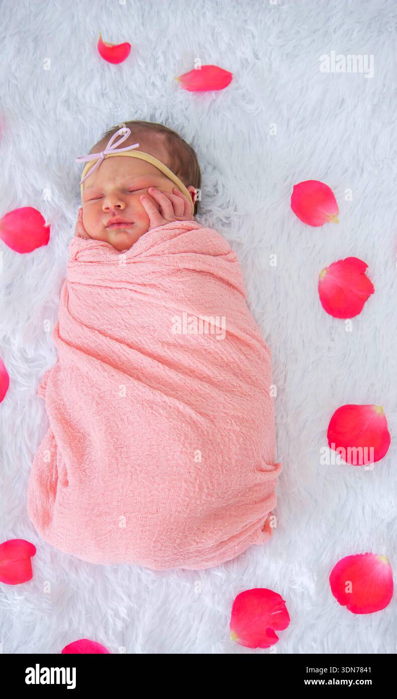 Bambina appena nata che dorme in un involucro rosa circondato da petali di rosa su pelliccia bianca. Foto Stock