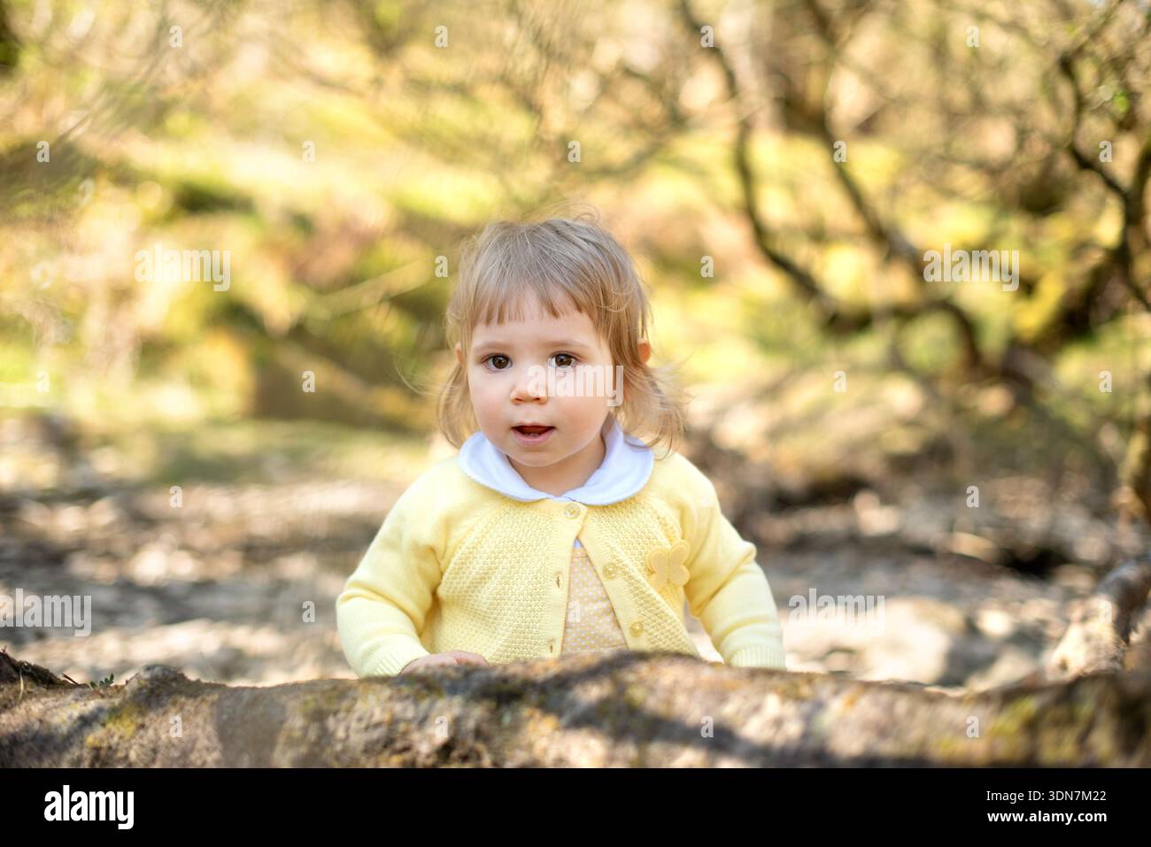 una ragazza strana che guarda il ramo caduto all'aperto Foto Stock
