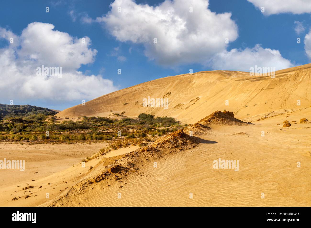 Te Paki Giant Sand Dunes, Northland, nuova Zelanda - un luogo popolare vicino a Cape Reinga e 90 Mile Beach, dove è possibile fare escursioni a piedi e fare sandboard. Foto Stock