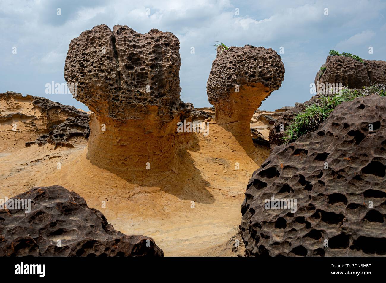 Vista di due formazioni rocciose hoodoo al Geopark di Yehliu a Taiwan, scolpite dall'erosione del vento e del mare, che si ergono come pilastri naturali surreali Foto Stock