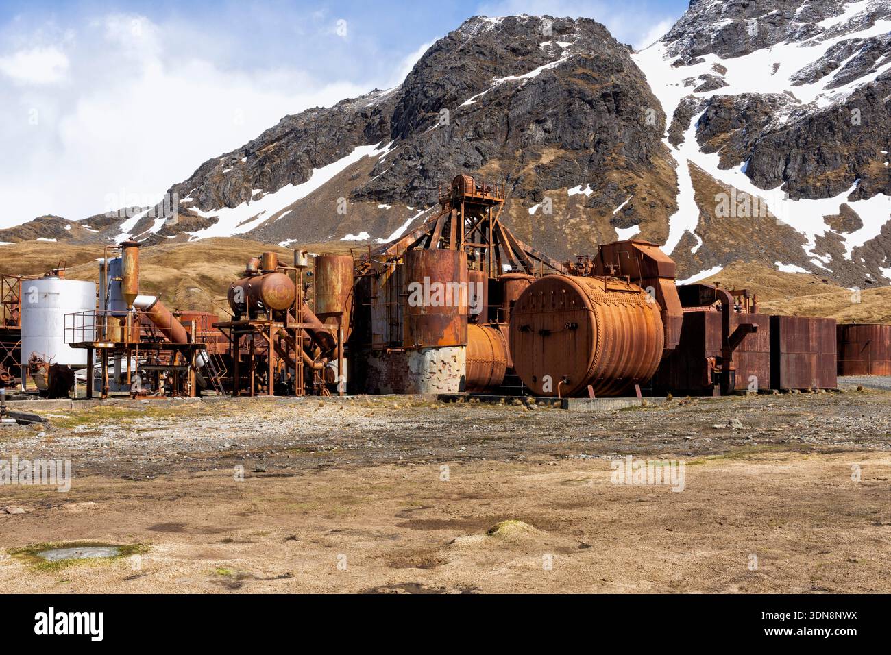 Rusty rimane dell'ex industria baleniera di Grytviken, una popolare attrazione per i turisti delle navi da crociera. Cumberland East Bay, Georgia del Sud Foto Stock