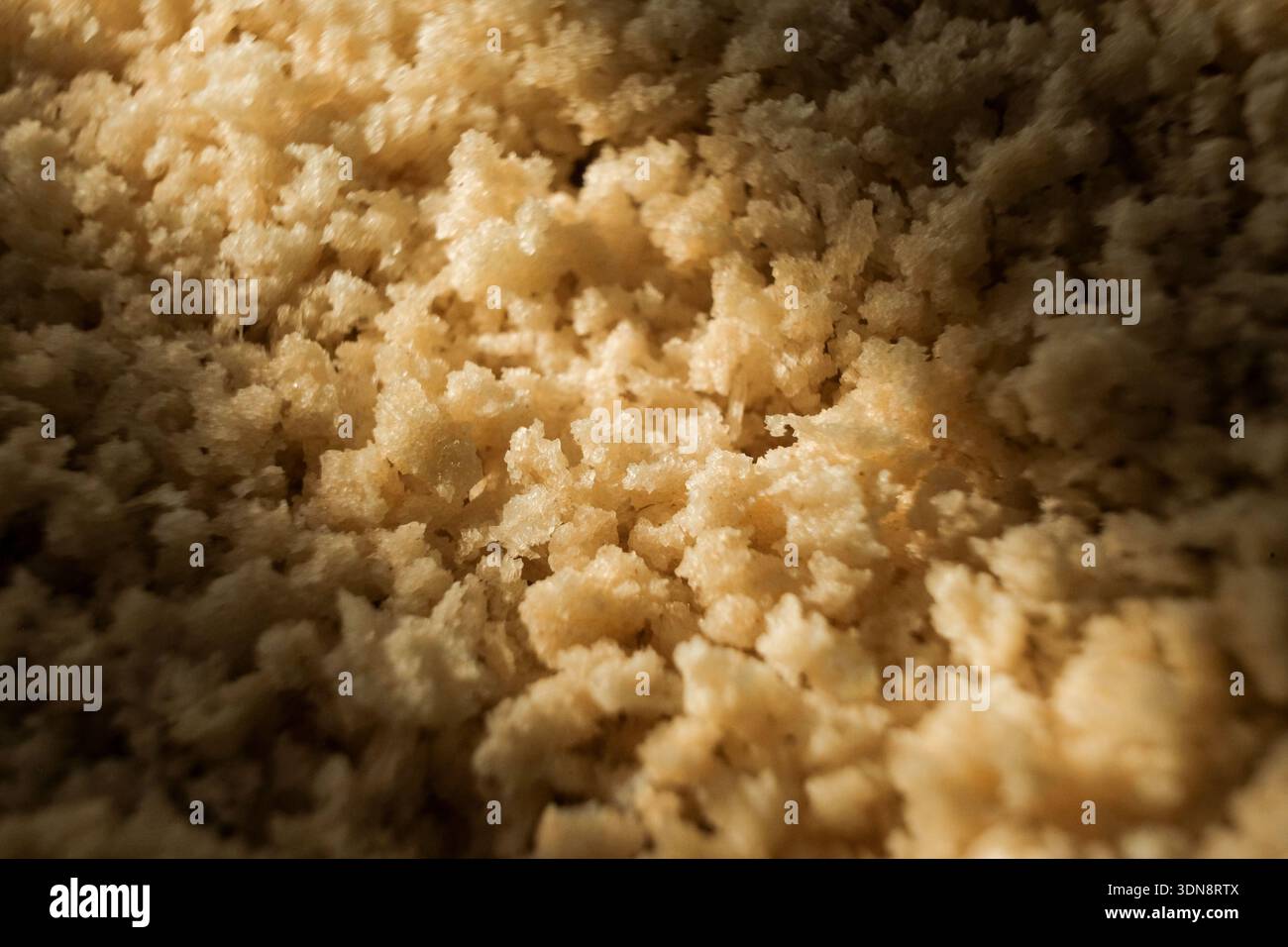 Texture macro al forno con messa a fuoco limitata Foto Stock