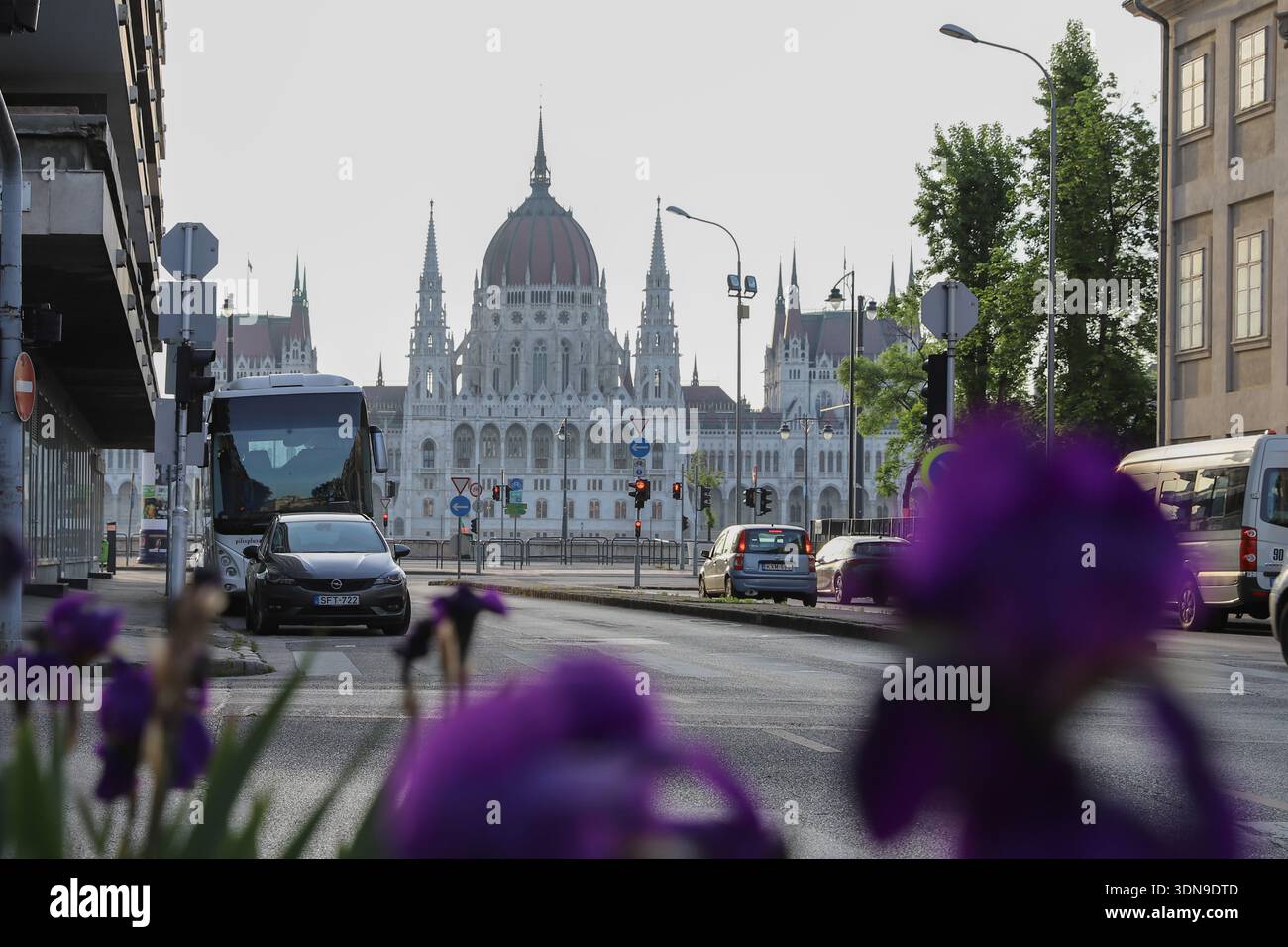 Vista sulla strada con traffico e fiori vicino al Parlamento ungherese Budapest 15 luglio 2024 Foto Stock