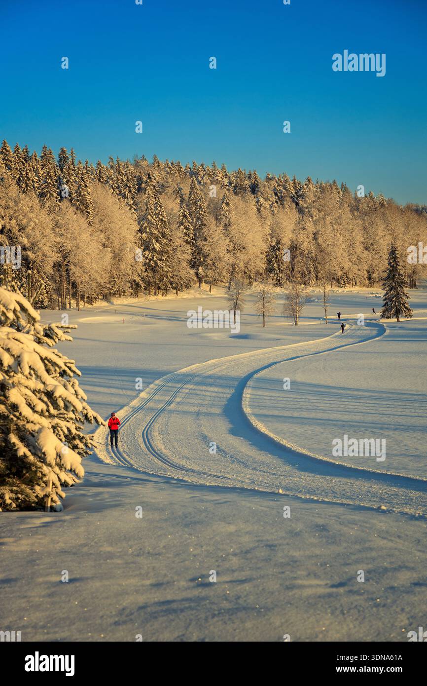 Espoo, Finlandia - 31 dicembre 2023: Pista da sci di fondo professionale che si snoda attraverso un campo innevato al tramonto. La gente sciava in inverno finlandese Foto Stock