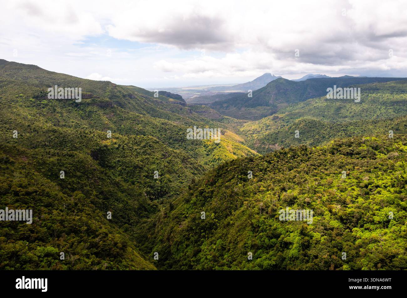 Vista panoramica sulla lussureggiante valle verde del Parco Nazionale delle Gole del fiume Nero a Mauritius Foto Stock