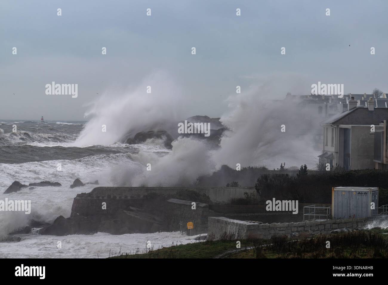 Grandi onde che arrivano sul retro di Bullock Harbour viste da Sandycove Point durante una marea primaverile e un forte vento da est Foto Stock