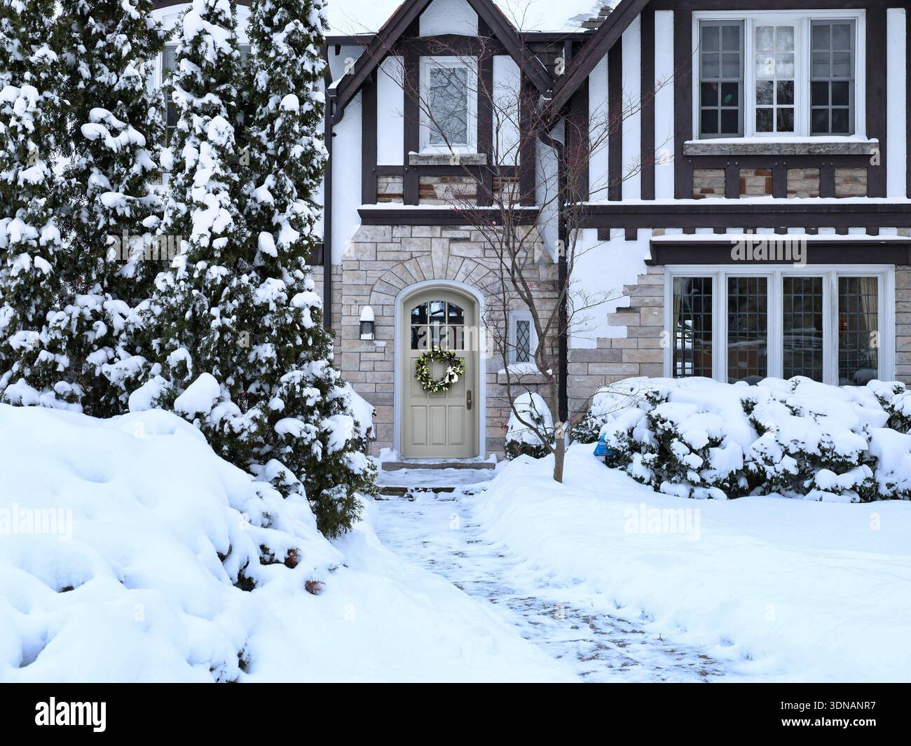 Casa in stile Tudor con arbusti ricoperti di neve Foto Stock