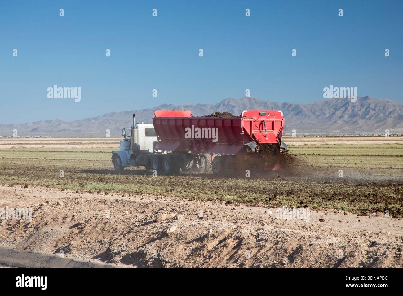 Buckeye, Arizona - il terreno fresco è diffuso in una fattoria nel deserto dell'Arizona. Foto Stock