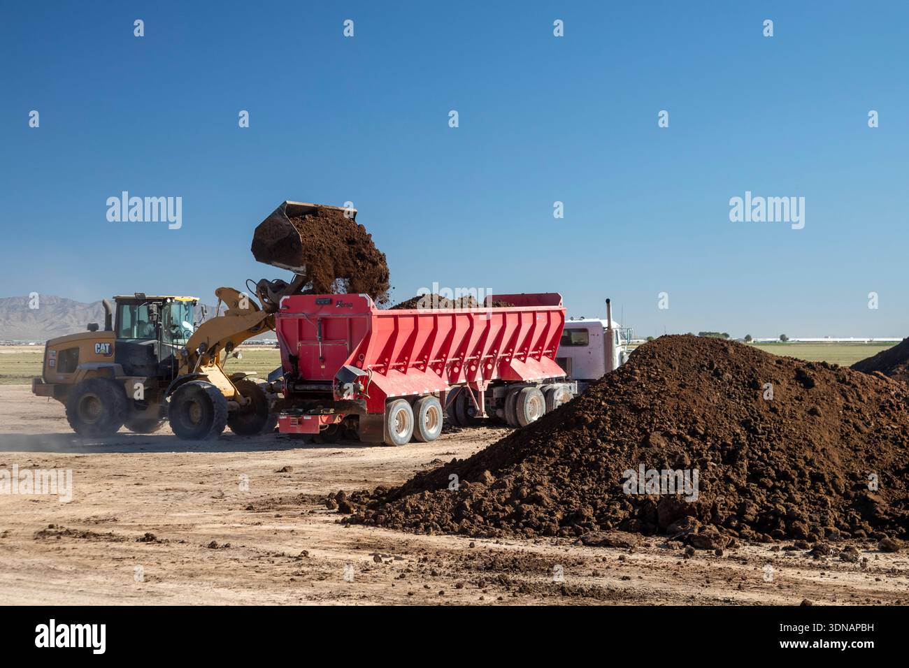 Buckeye, Arizona - il terreno fresco è diffuso in una fattoria nel deserto dell'Arizona. Foto Stock
