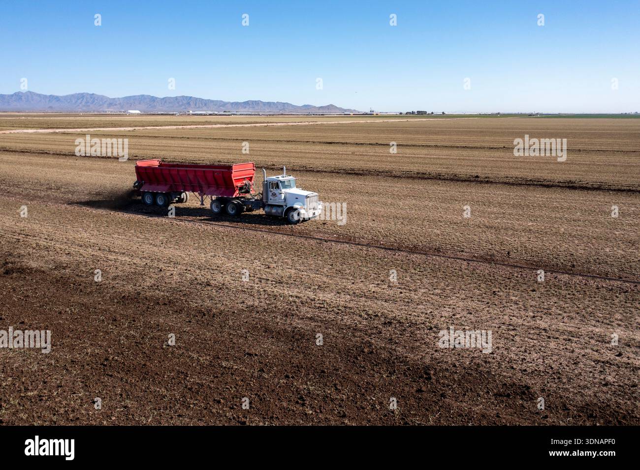 Buckeye, Arizona - il terreno fresco è diffuso in una fattoria nel deserto dell'Arizona. Foto Stock